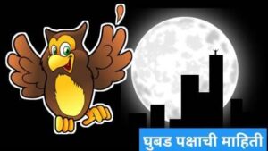 Read more about the article Owl Information in Marathi